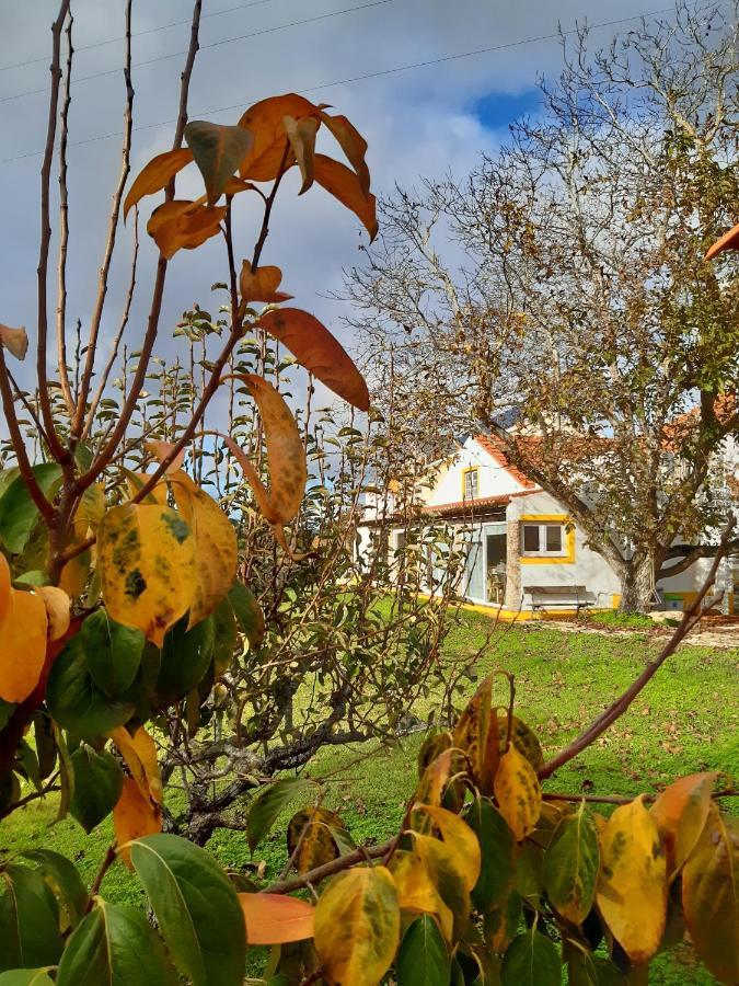 Quintal Do Freixo - Country House Собра́л-де-Мо́нте-Агра́су Екстер'єр фото