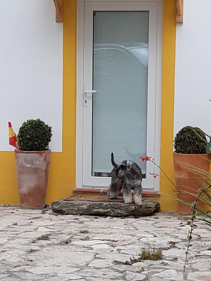 Quintal Do Freixo - Country House Собра́л-де-Мо́нте-Агра́су Екстер'єр фото