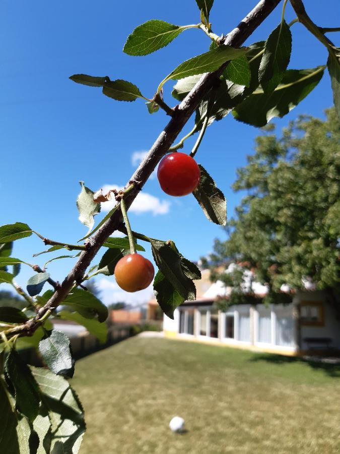 Quintal Do Freixo - Country House Собра́л-де-Мо́нте-Агра́су Екстер'єр фото