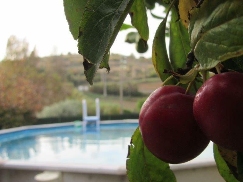 Quintal Do Freixo - Country House Собра́л-де-Мо́нте-Агра́су Екстер'єр фото