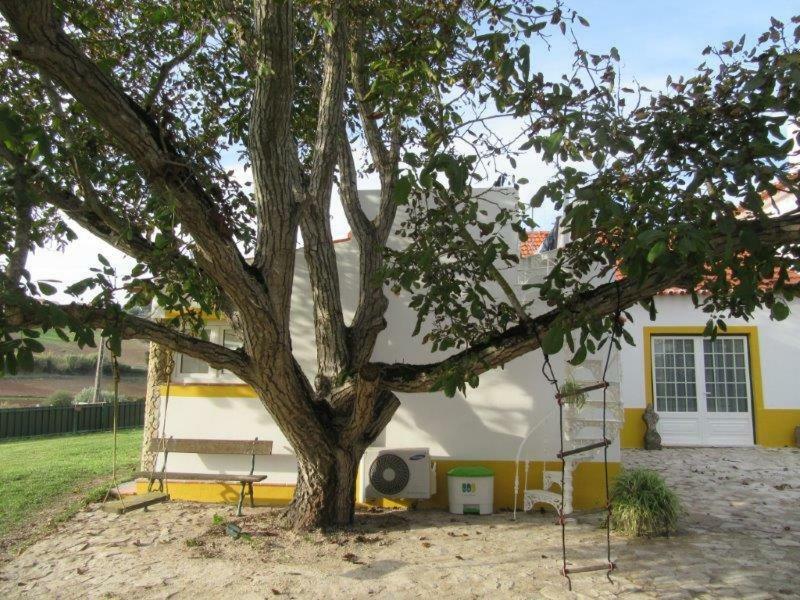 Quintal Do Freixo - Country House Собра́л-де-Мо́нте-Агра́су Екстер'єр фото